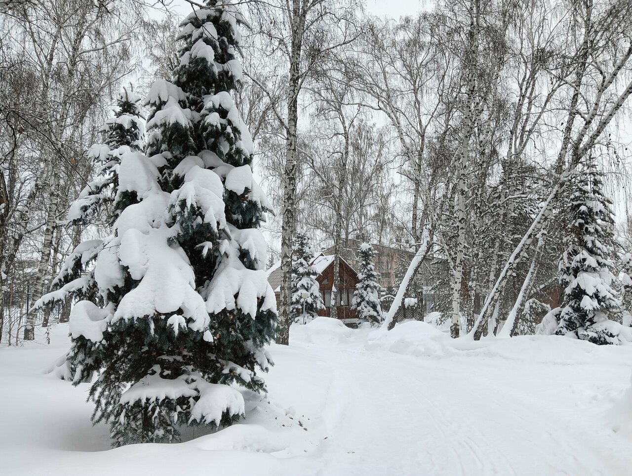 Гостиница Берёзка Челябинск-199