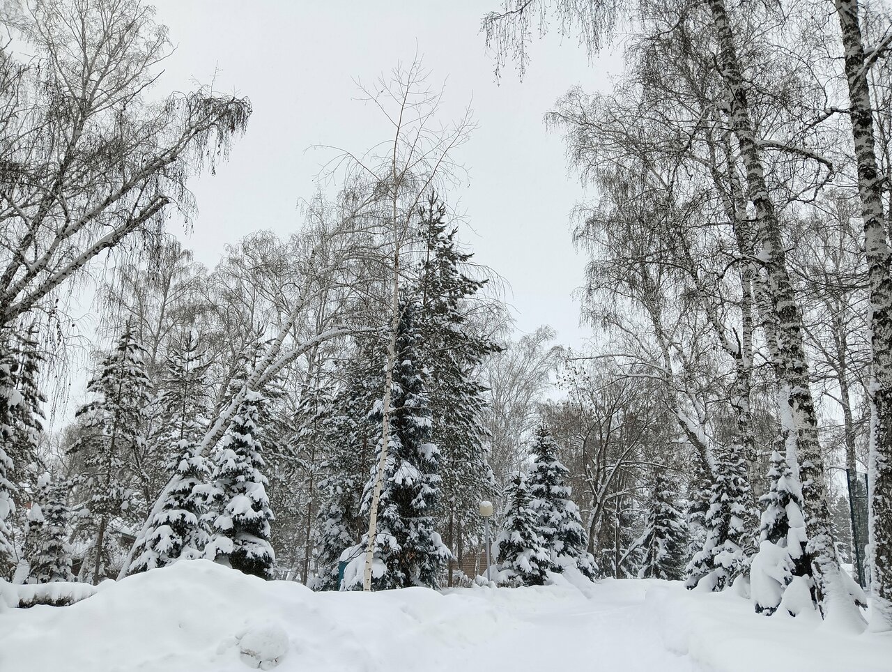 Гостиница Берёзка Челябинск-117