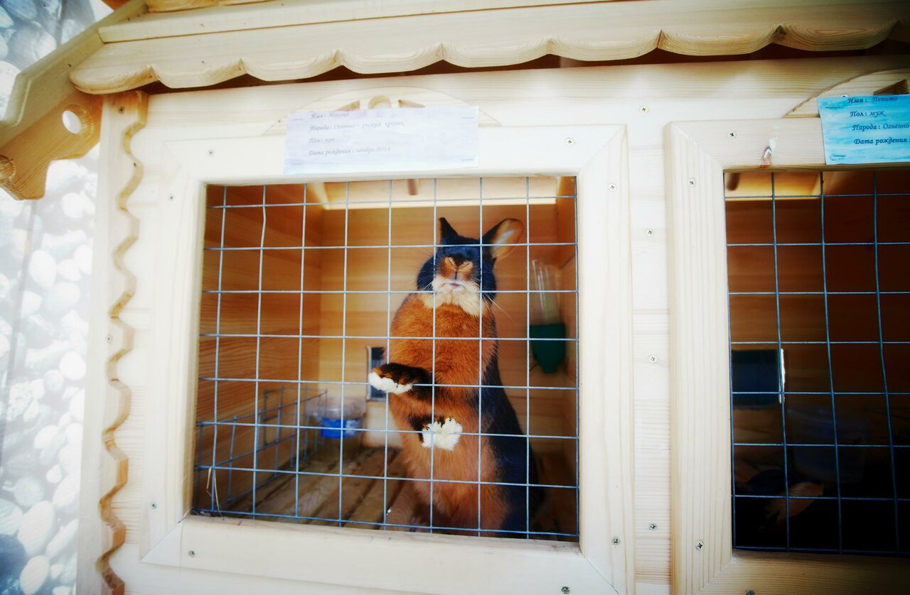 Гостиница Берёзка Челябинск-65