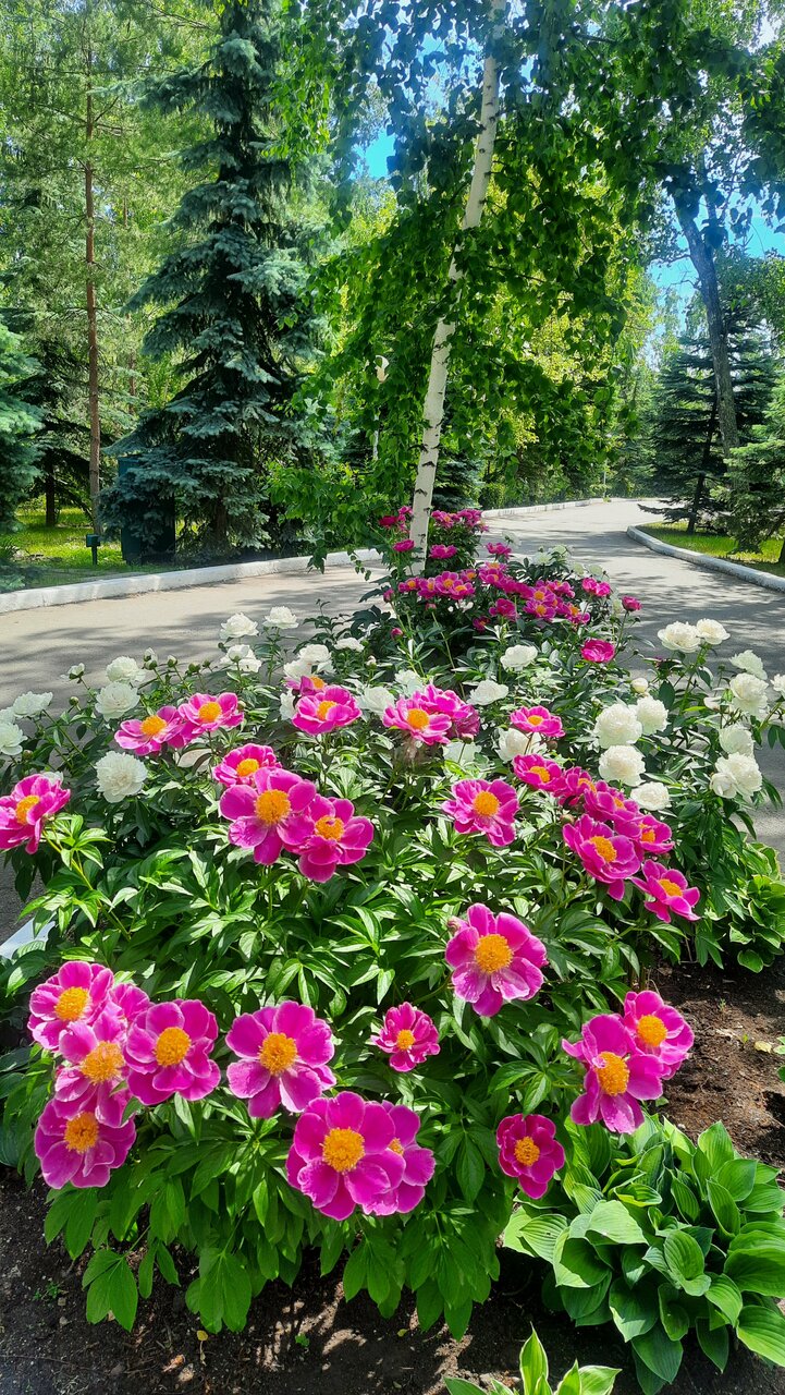 Гостиница Берёзка Челябинск-39