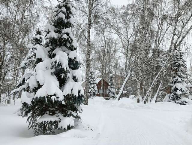 Гостиница Берёзка Челябинск-198