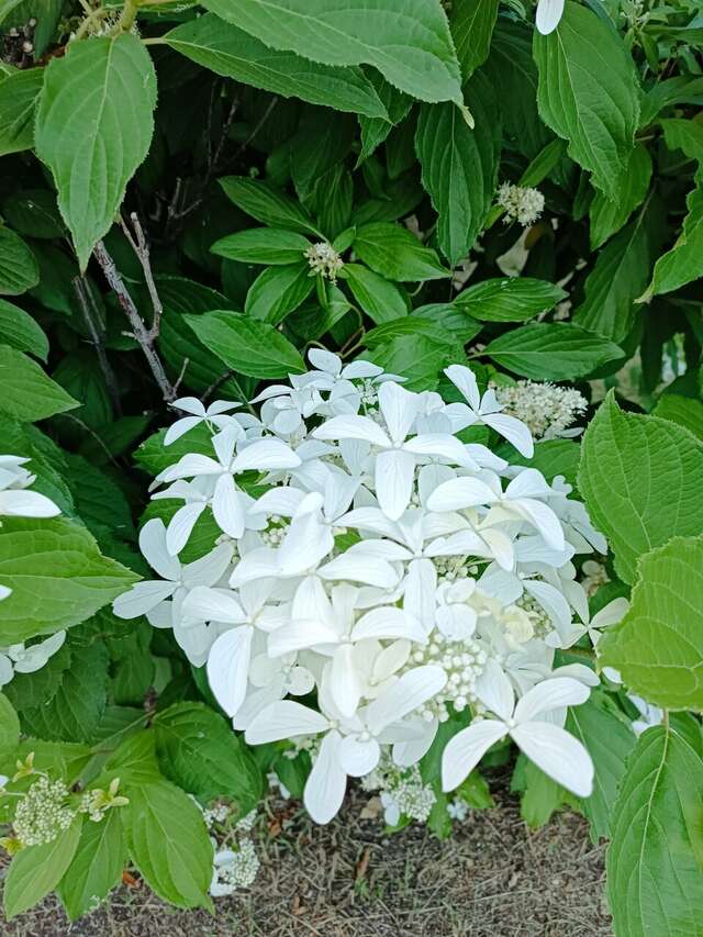 Гостиница Берёзка Челябинск-68