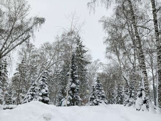 Гостиница Берёзка Челябинск-116