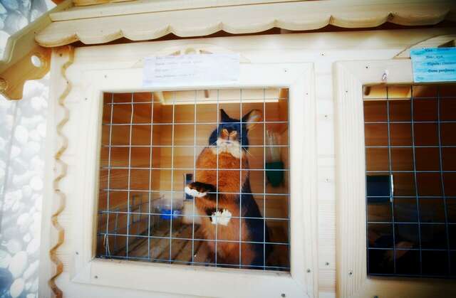 Гостиница Берёзка Челябинск-64