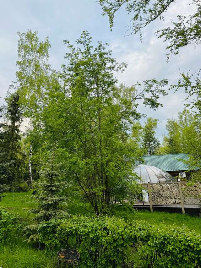 Гостиница Берёзка Челябинск-47