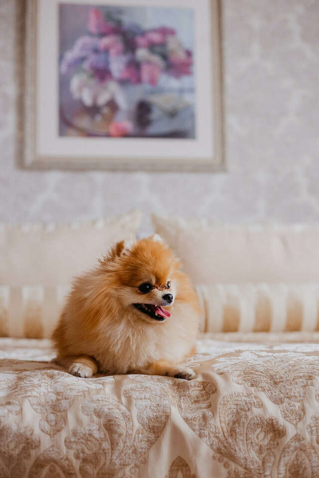 Гостиница Берёзка Челябинск-57