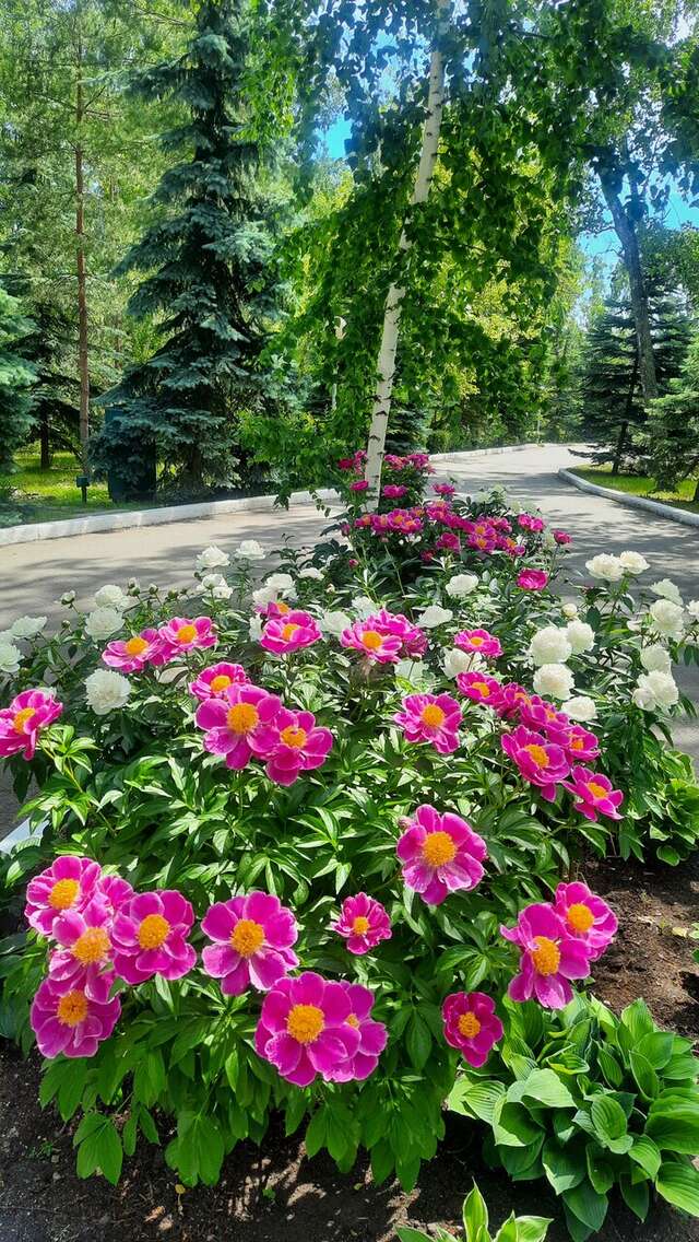 Гостиница Берёзка Челябинск-38