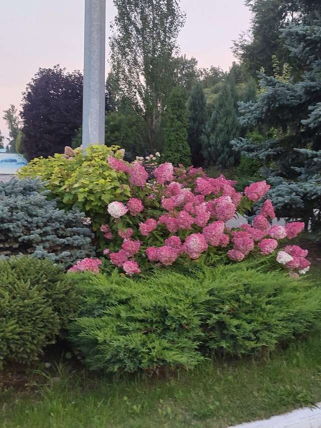 Гостиница Берёзка Челябинск-72